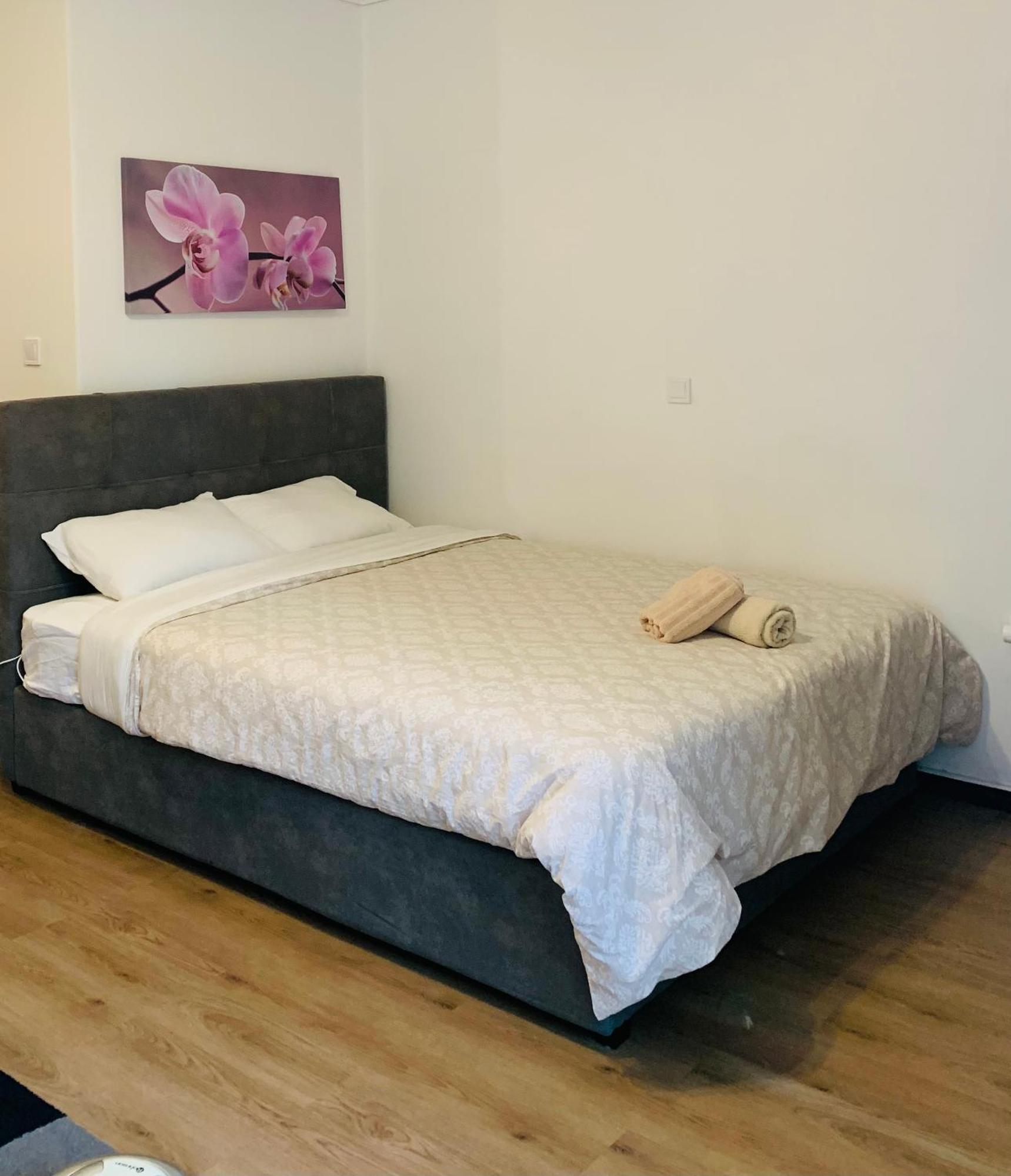 Alex Comfort Apartment *